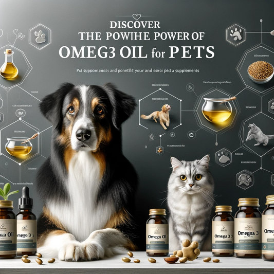 Dietary Supplements for Pets?
