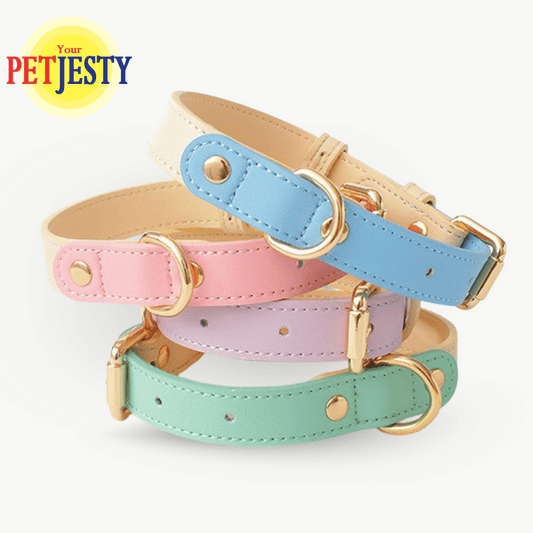 Your Petjesty Pastel Paws Collection Dog Collar