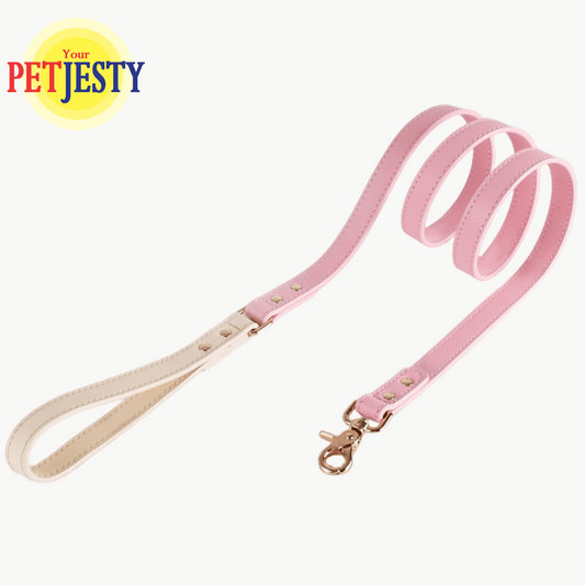 Your Petjesty Pastel Paws Collection Dog Lead