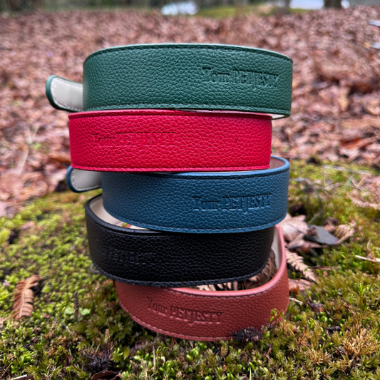 Your PetJesty Luxury Leather Dog Collar
