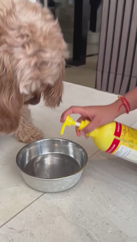 PetJesty Premium: Vegan Omega 3, 6 & 9 Algae Oil for Cats and Dogs